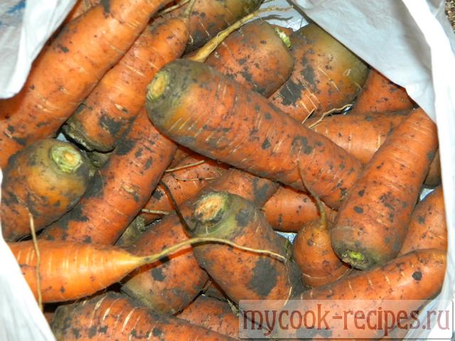 Свежая морковь лежит в мешке Морковь по корейски на зиму, Свежая морковь лежит в мешке