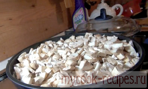 Mushroom julienne from champignons